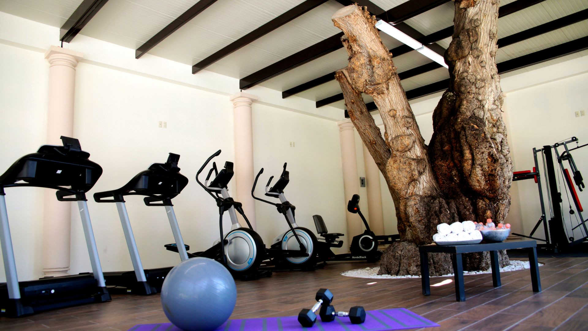 RDB-Gimnasio-002