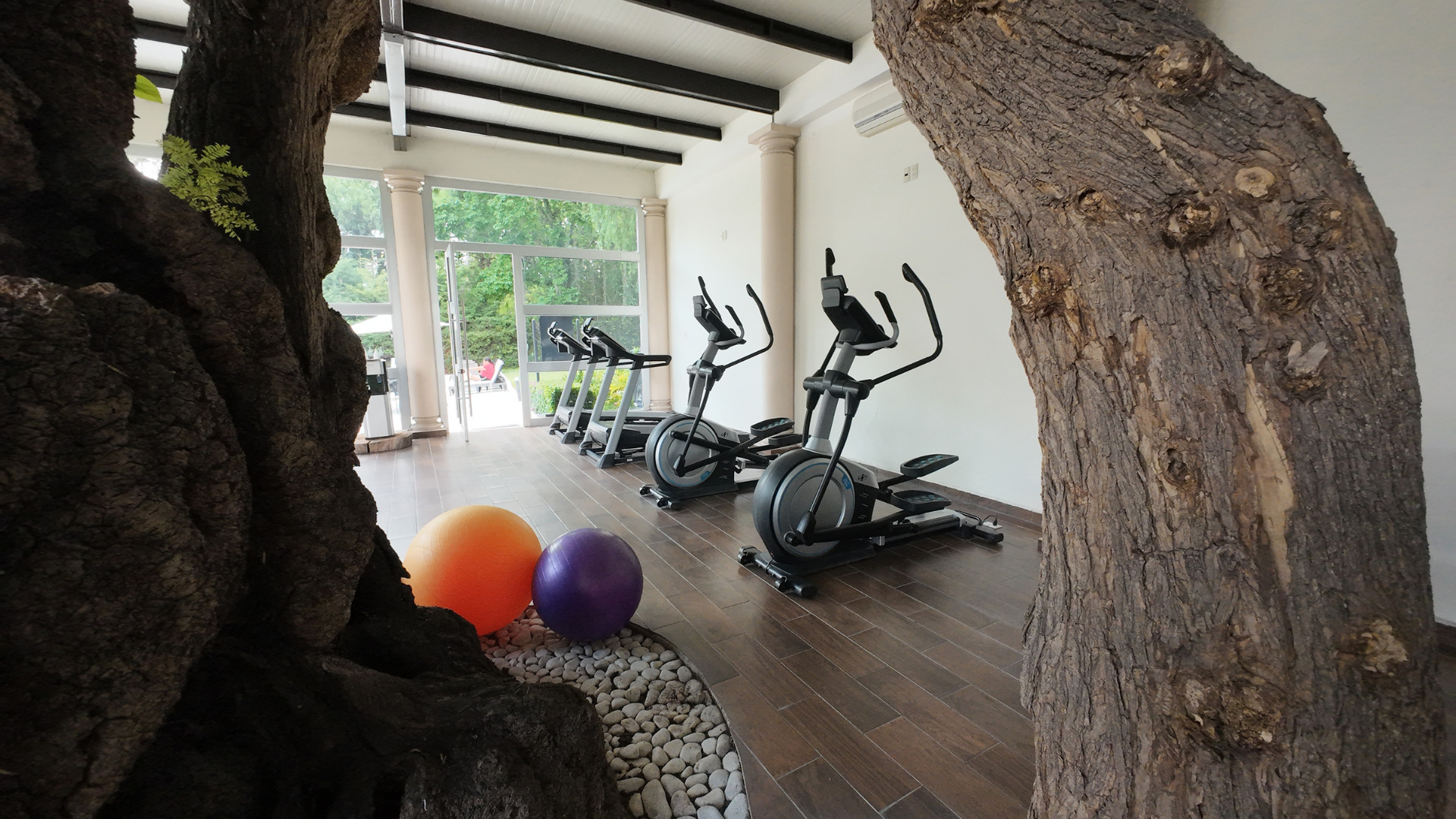 RDB-Gimnasio-004